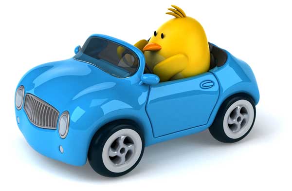 bird-blue-car